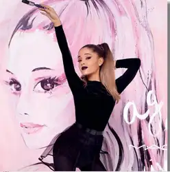 5D поделки алмазов картина музыкальный Ariana Grande Алмазная вышивка цветок вышивки крестом горный хрусталь мозаика