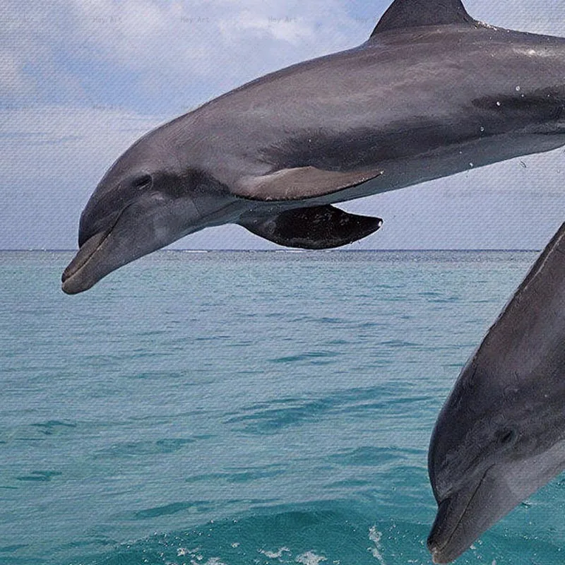 Decorative Pictures poster animal Print Dolphin Canvas Painting Frameless wall art for home decor Decorative Pictures poster animal Print Dolphin Canvas Painting Frameless wall art for home decor