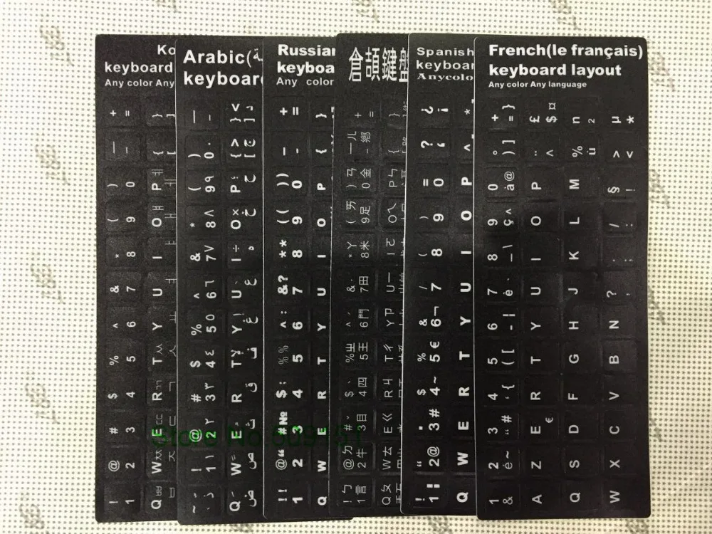 4131688784_1157156363