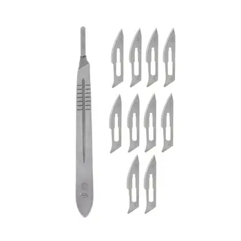 

Succulent Plants Pruning Knife Gardening Bonsai Tools Cuttings Transplant Blade