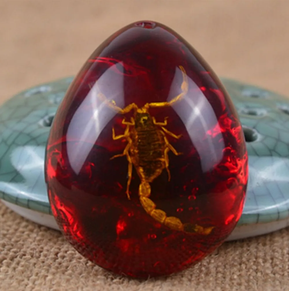 ms_2054