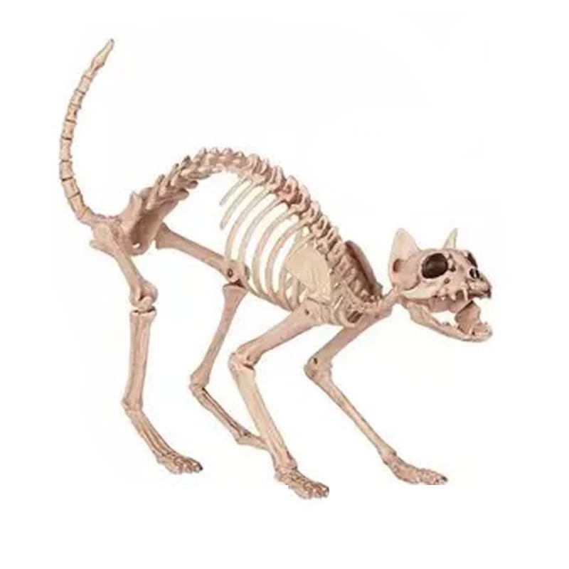Squelette De Chat En Plastique Os D Animaux Pour Decoration Effrayante D Halloween 100 Aliexpress