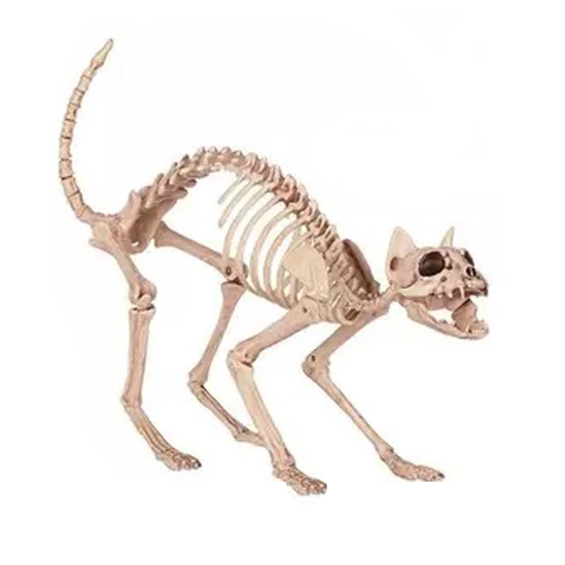 Squelette De Chat En Plastique Os D Animaux Pour Decoration Effrayante D Halloween 100 Aliexpress