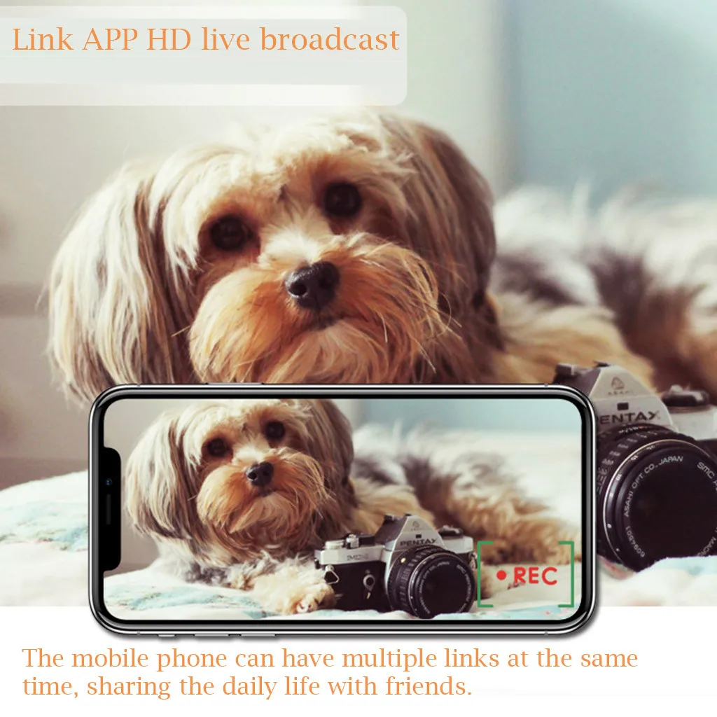 Умный автоматический ПЭТ кормушка для собак кошек подачи Wi-Fi HD видео с 2-полосная аудио Запись и функция вызова Многофункциональный горячая распродажа