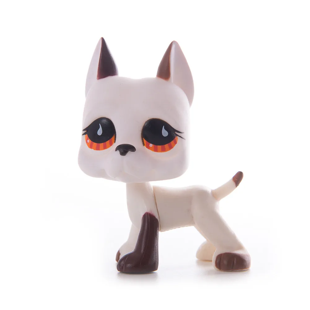 Lps Pet Shop игрушки большой Дэн кокер спаниель собака короткие волосы кошка Черный Розовый Белый Lps фигурка модель игрушки для детей подарок - Цвет: 5