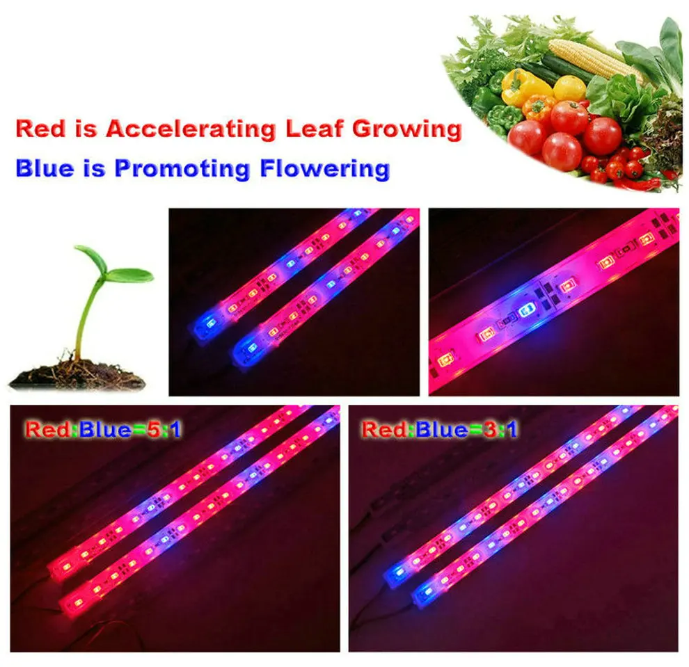 LED Grow Light DC12V (18)