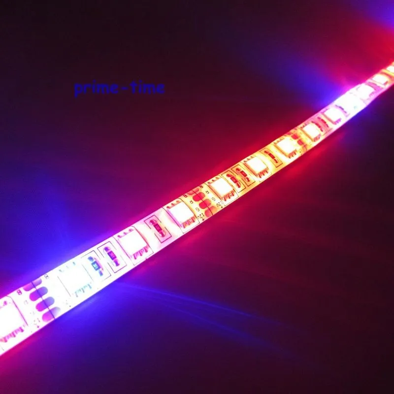Fast-shipping-2x-5M-300LEDs-5050-LED-Strip-grow-light-lamp-RED-BLUE-8-1-for (1)