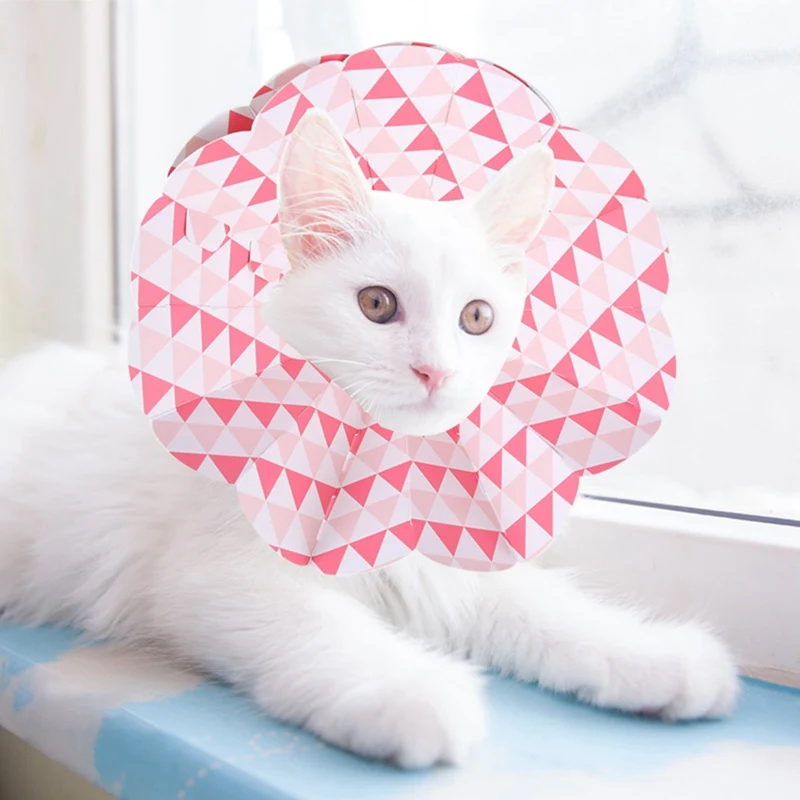 

Dogs Cats Paper Collapsible Elizabeth Protective Recovery Collar For Preventing Anti Dirty And Licking Wound Collier Chat