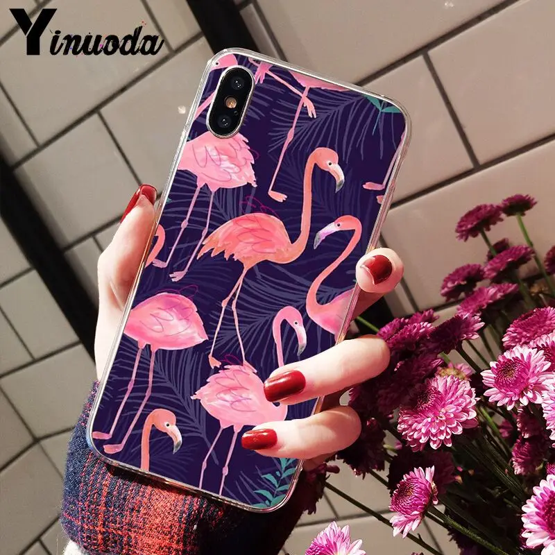 Flamingo Cute Animals Birds