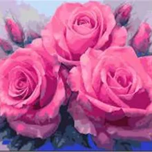 Высокое качество большая розовая Роза печатная DIY Цифровая картина маслом по номерам ручная роспись маслом 40x50 см без рамки