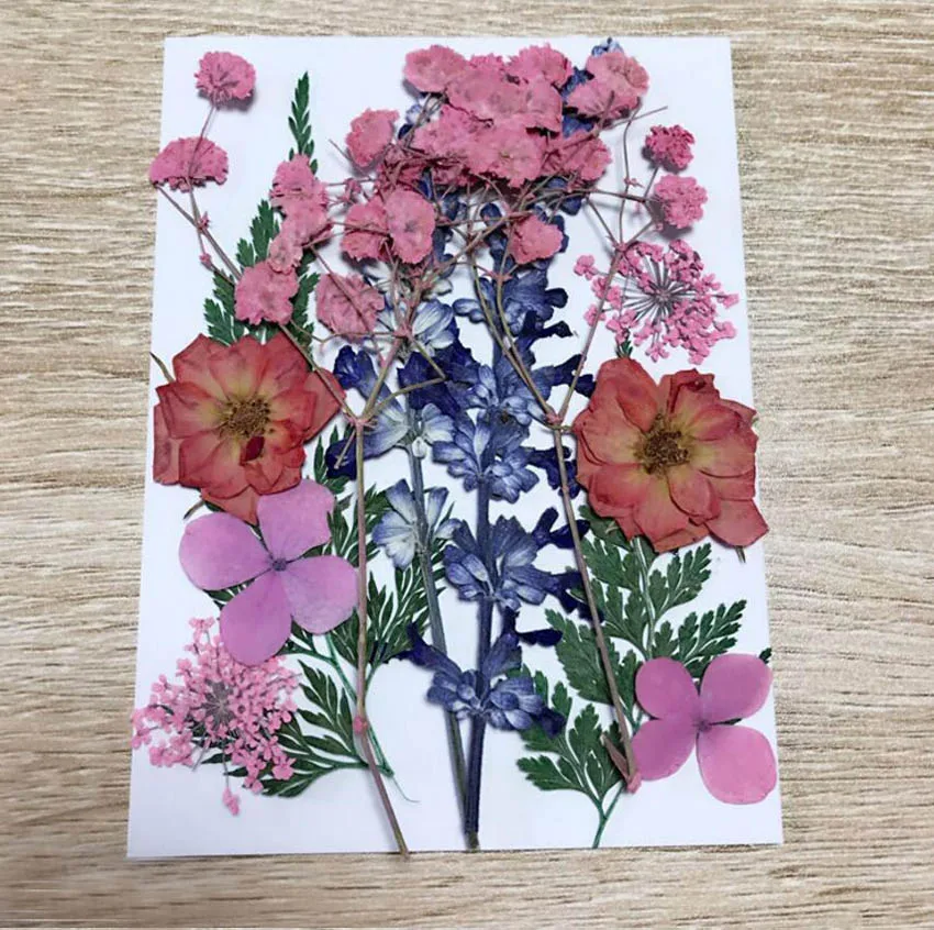 Фоторамка для ювелирных изделий 1 комплект|dried pressed flowers|leaf plantspressed flowers |
