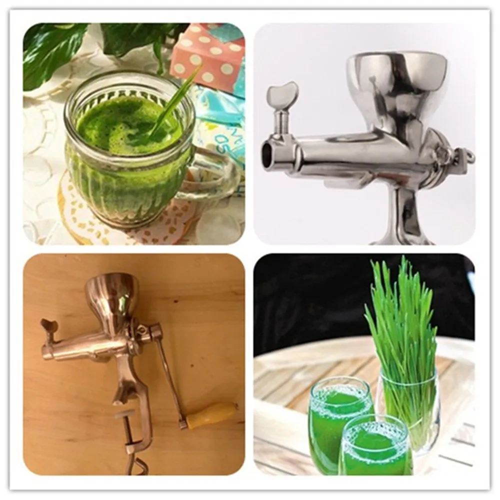 Wheat grass juicer stainless steel manual fruit wheatgrass vegetable