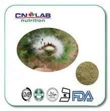 Factory price supply pure natural Dandelion root extract 200g/lot  HOT Sale