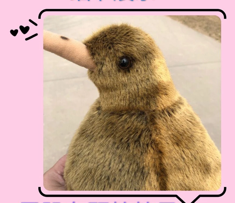 Big Simulation KIWI Bird Doll Animal Kiwi Bird Plush Toys Realistic Animals Plush Toys Gifts Deco 20inch 50cm DY50603(4)