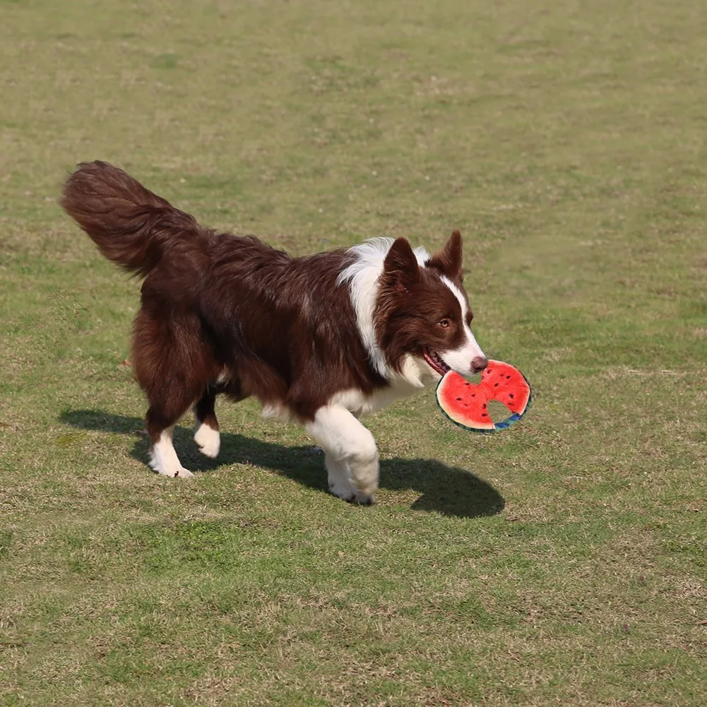 Puppy amusement toys -Watermelon Frisbee, built-in sounder, helps pets clean and exercise teeth, suitable for any breed of puppy