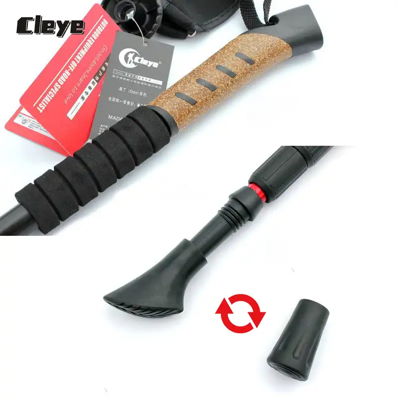 walking sticks go outdoors