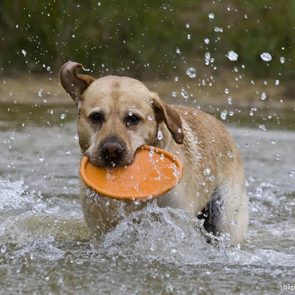 

22cm big large Frisbie Flying Discs Interactive Dog Chew Toys Resistance Bite Soft Rubber Puppy Pet Toy for Dogs Pet Training