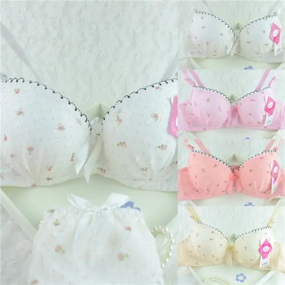 Women Underwire Bras Floral Dot Push Up Underwear Brassiere 32-36B 3/4Cup Lady bra and underwear set