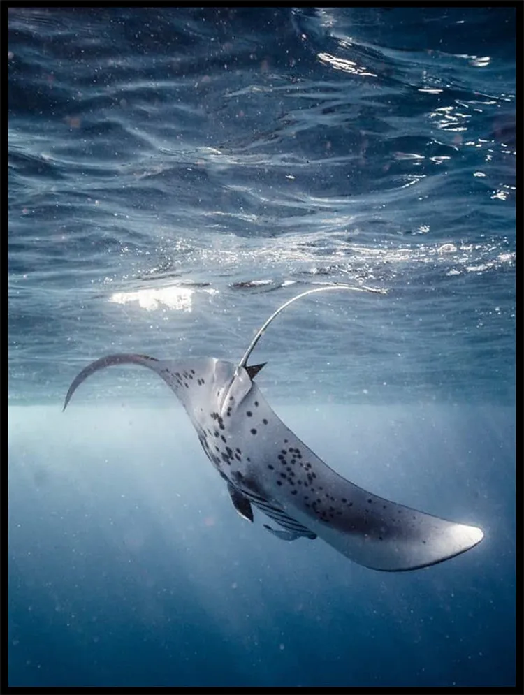 UT8Kui6X80bXXagOFbXb