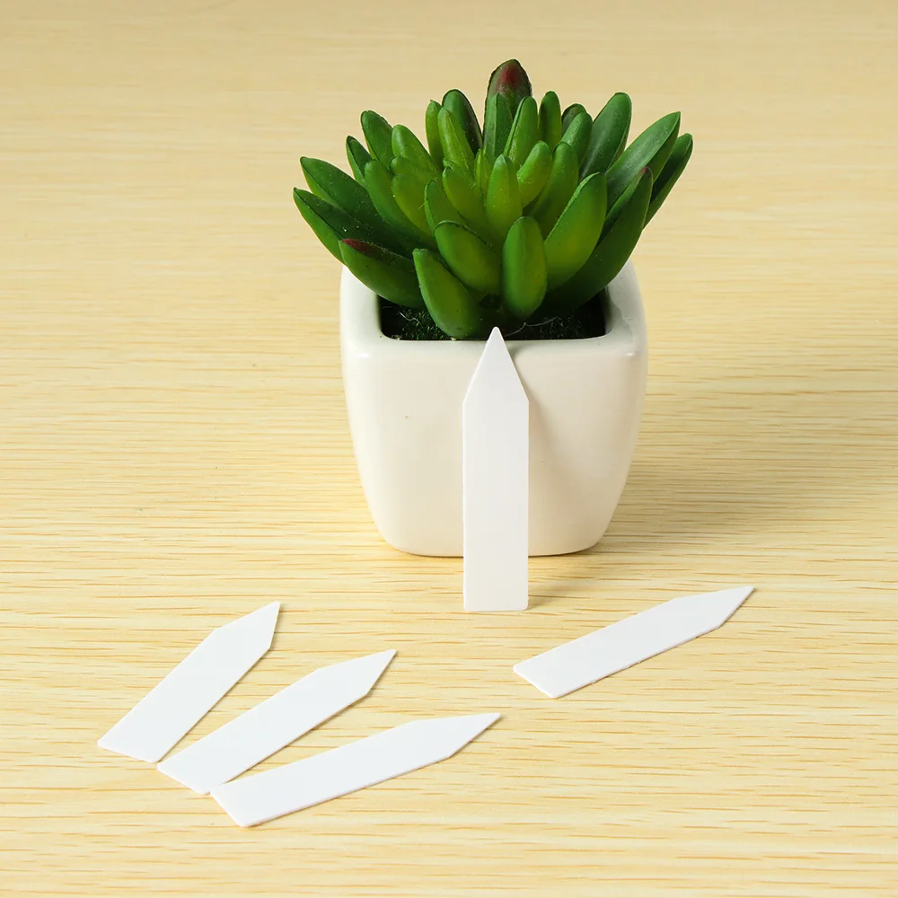 Classification Marker Garden Tools Nursery Pot Seedling Tags Plants Label