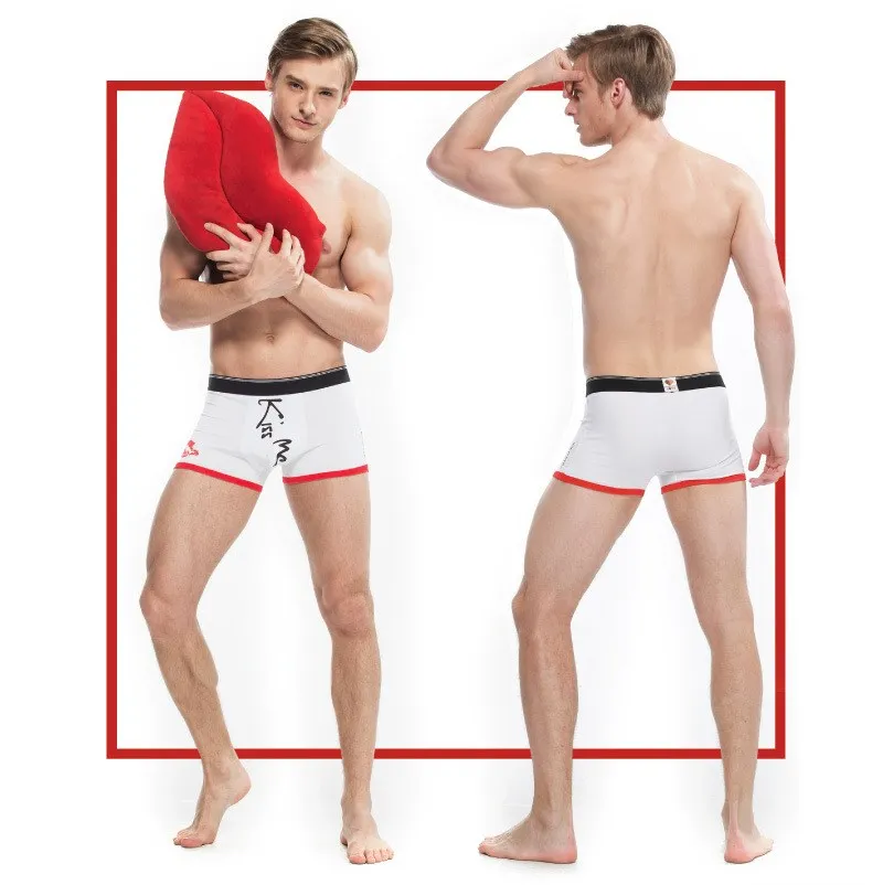 2017 New Couple Cotton Underwear Men Boxer Shorts and Women Briefs Red Lips Print Japanese Style Underpants for Couple (6)