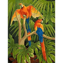 Цветной parrot.40x50cm, живопись по номерам, сделай сам, настенное искусство, украшение гостиной, пейзаж, фигура, животное, цветок, мультфильм