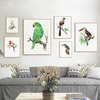 

Modern Home Decoration Posters And Prints Watercolor Parrot Animals Canvas Painting Wall Art Pictures for Living Room No Framed