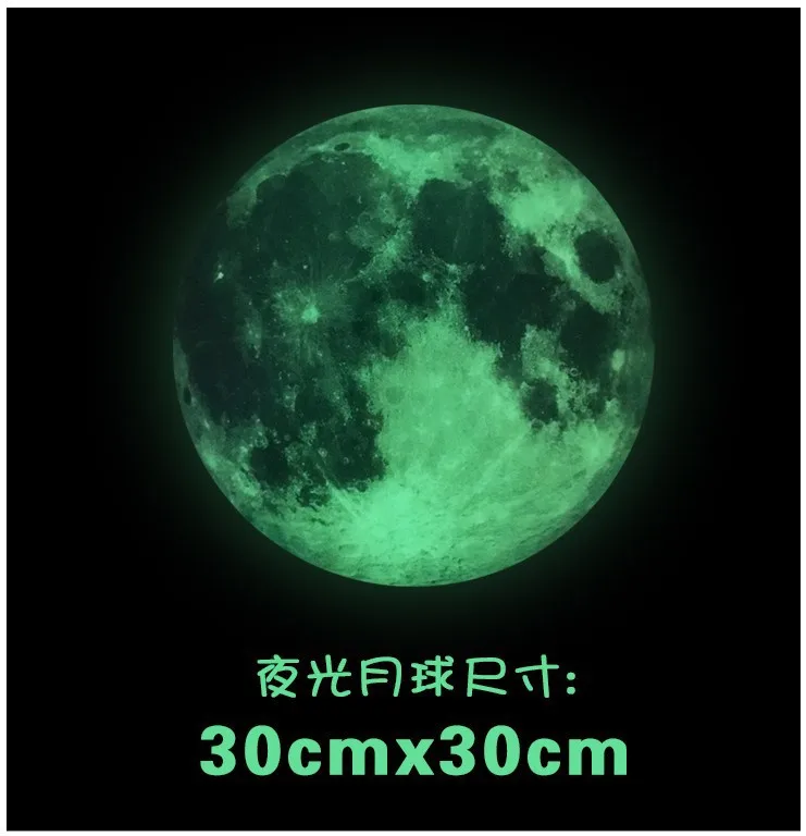 8636718533_36767782