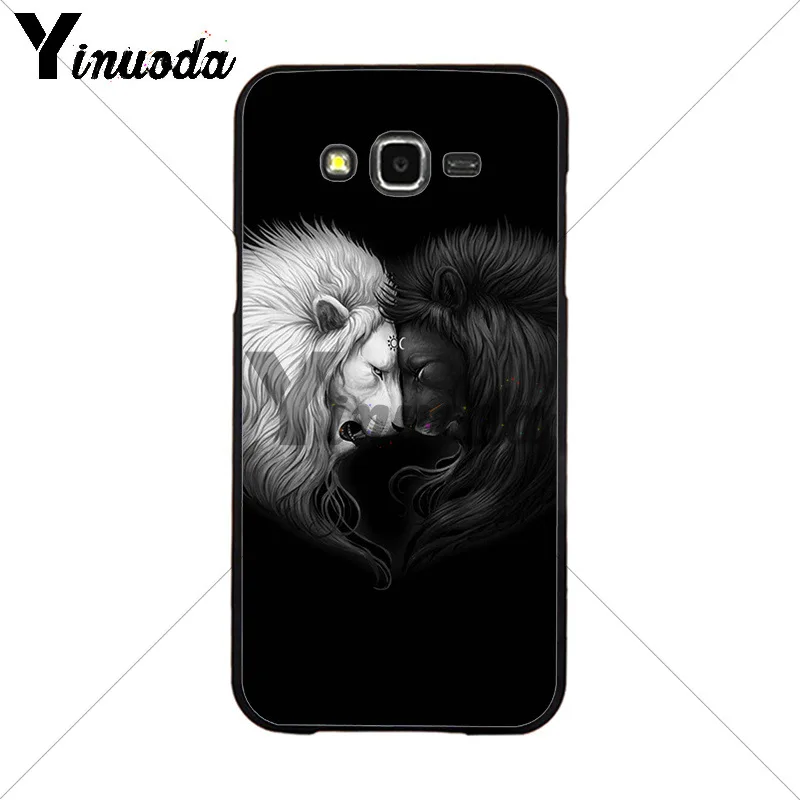 Animals The lion