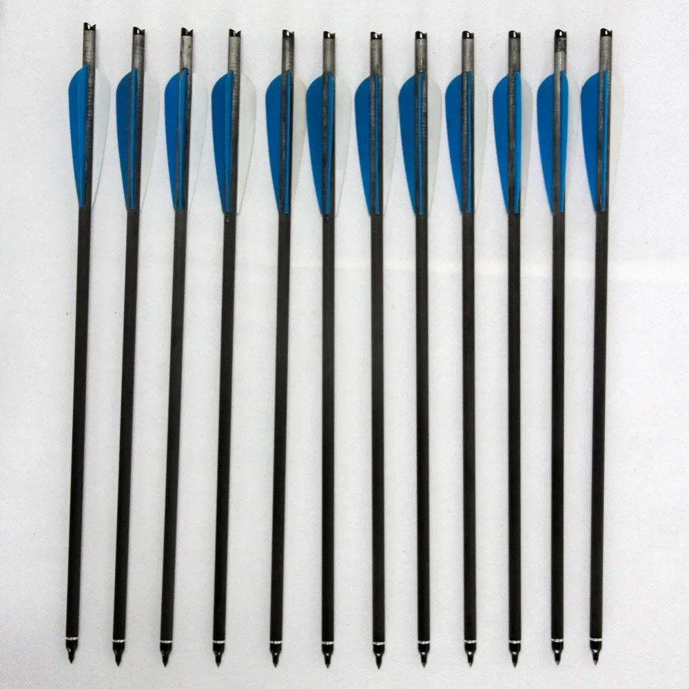 Buy 12 PCS/Lot Carbon Arrows Archery Hunting OD 8.7mm