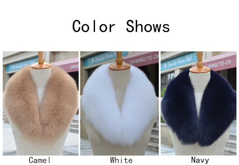 color shows (4)