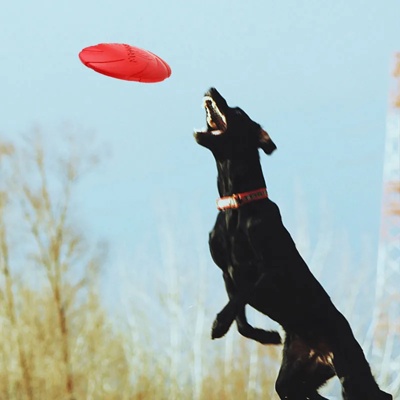 Bite-resistant Non-toxic Silica Pet Dog Flying Discs Saucer Toys Small Medium Funny Dog Puppy Agile Training Toys Flying Disk10