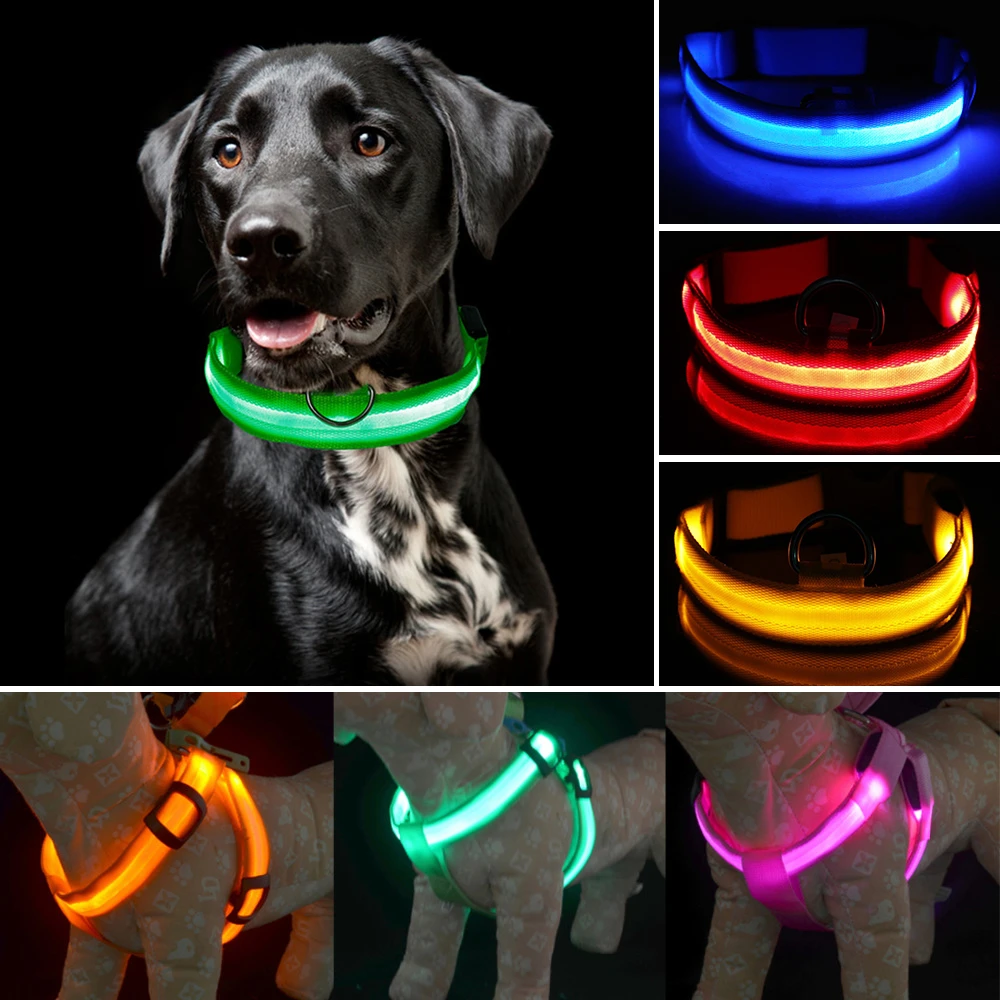 dog harness set