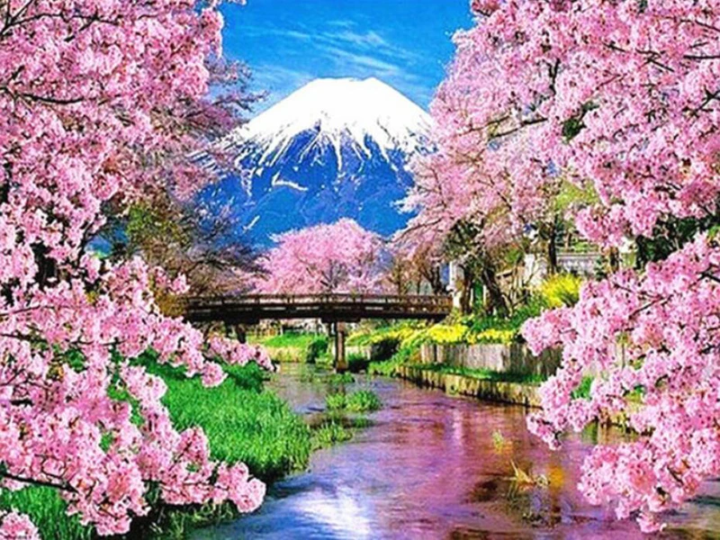 TIM20190505144520