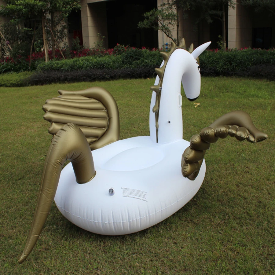 Gold Ring Swimming Pool Gold Ring Swimming Pool