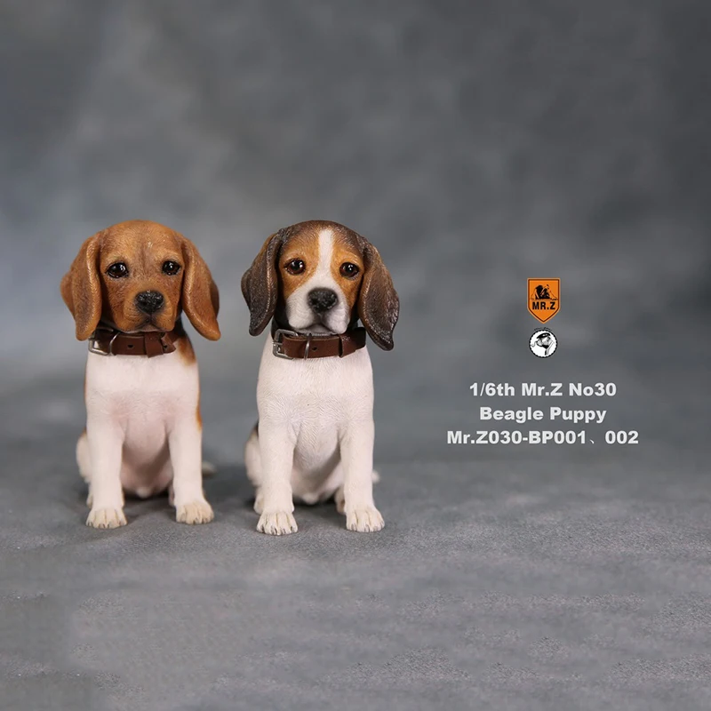 

1/6 Collectible Solider Figure Scene Accessorie Mr.Z BP001 BP002 No.30 Beagle Puppy Dog Animal Model for 12'' Action Figure