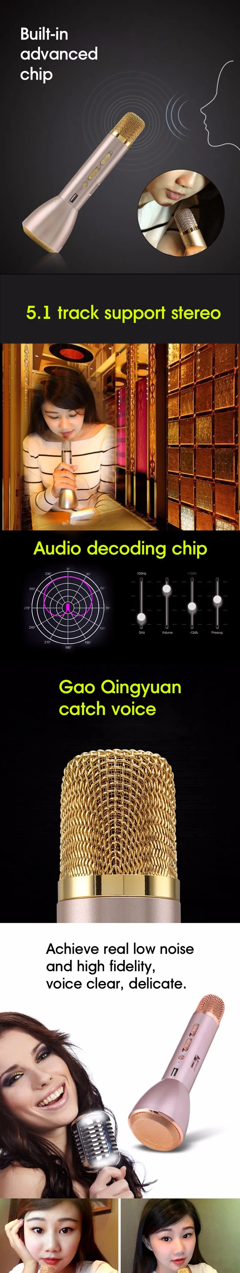 Bluetooth speaker Microphone Karaoke (17)