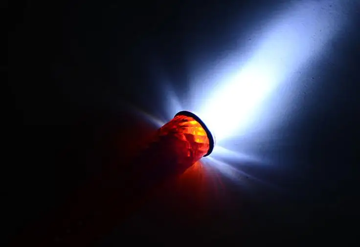 36020170725181956674