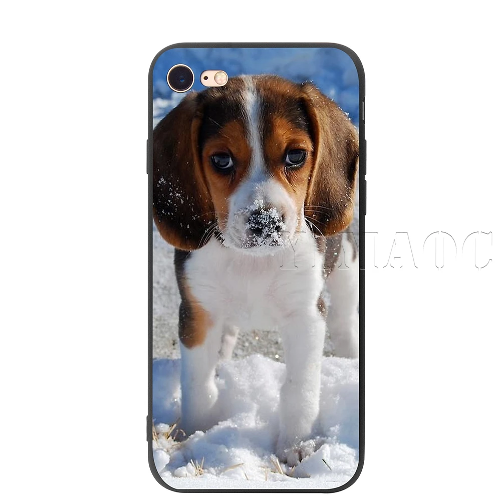 Силиконовый мягкий чехол YIMAOC Beagle Dog Для iPhone 11 Pro XS Max XR X 8 7 6 6S Plus 5 5S SE - Цвет: 8