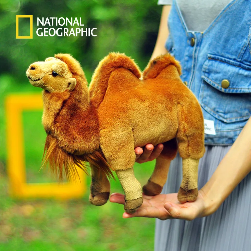 plush camel