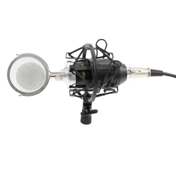 

New Arrival BM8000 Professional Sound Studio Recording Condenser Microphone with 3.5mm Plug Stand Holder