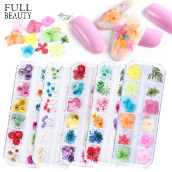 

Nail Dried Flower Real Floral 3D Nail Art Decorations UV Gel Polish Natural Floral Sticker Slider Set Beauty Manicure CHF01-10