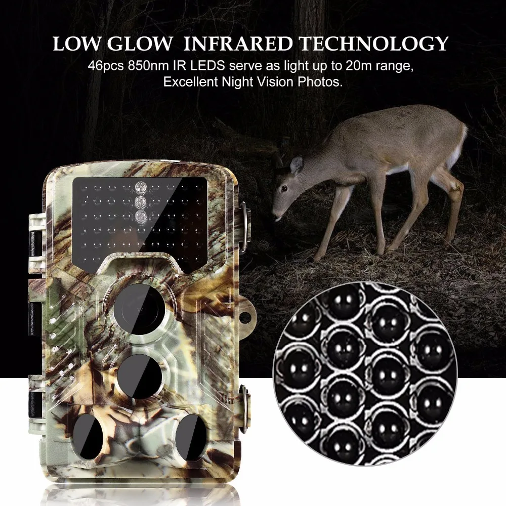 Hunting camera photo traps wildlife (8)