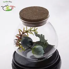 8 шт./лот 450 мл ручной работы жаростойкое стекло цветок в чай Caddy Канистра w/пробковое дерево