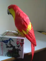 Симпатичные Моделирование красный и желтый попугай модель пены и перья попугай игрушки около 40 см