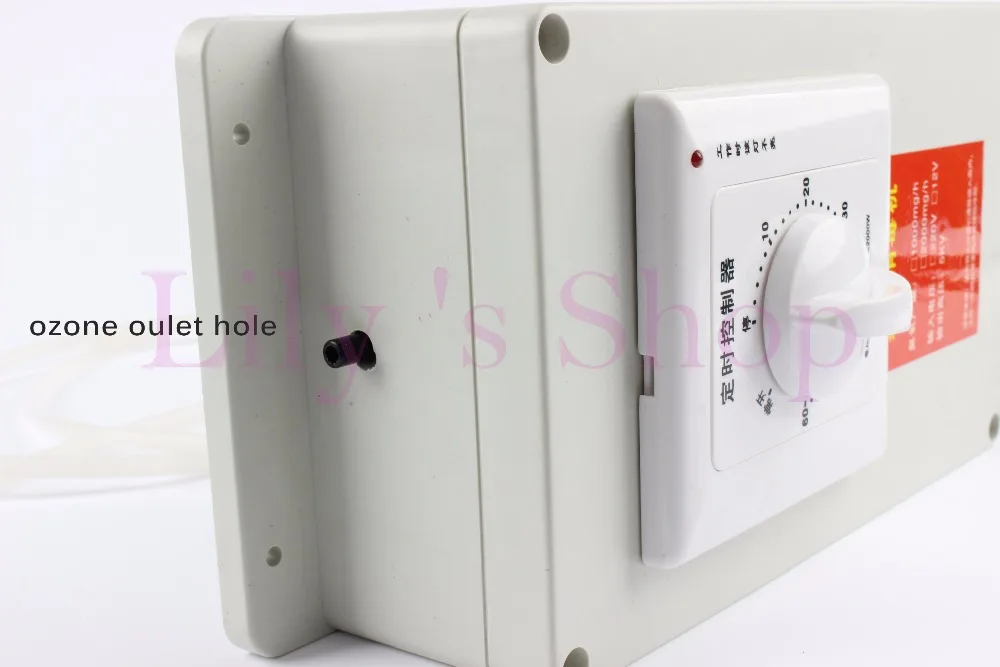 Billige Timing 1000 mgr std Ozon Generator 220V 110V 12V Wasser Ozonisator Ozonisator Luft Sterilisator Deodorizer Reiniger Obst Gemüse washer