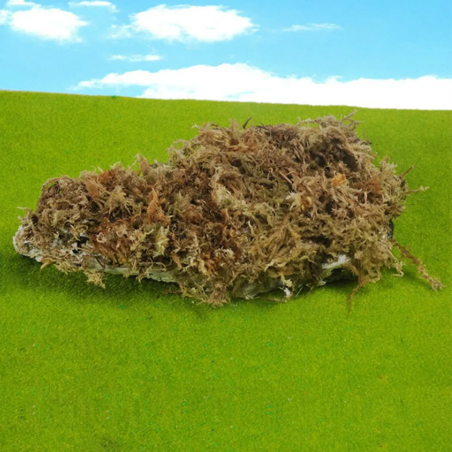 new grass model (1)