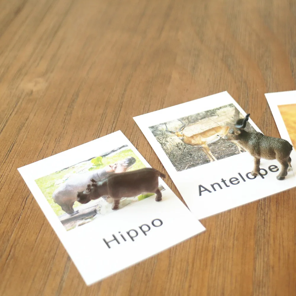 Montessori Infant Toys Montessori Animal Cards Preschool Learning Educational Toys for Toddlers Juguetes Brinquedos MI3044H Montessori Infant Toys Montessori Animal Cards Preschool Learning Educational Toys for Toddlers Juguetes Brinquedos MI3044H