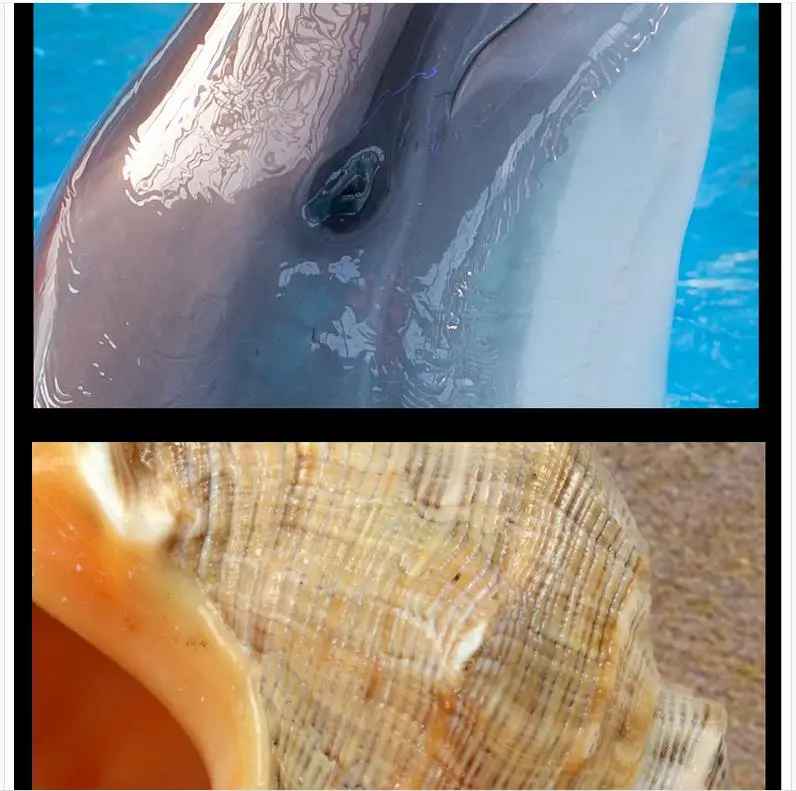 3D тапочки Нескользящие Водонепроницаемый Самоклеящиеся ПВХ обои Beach Waves Starfish пол
