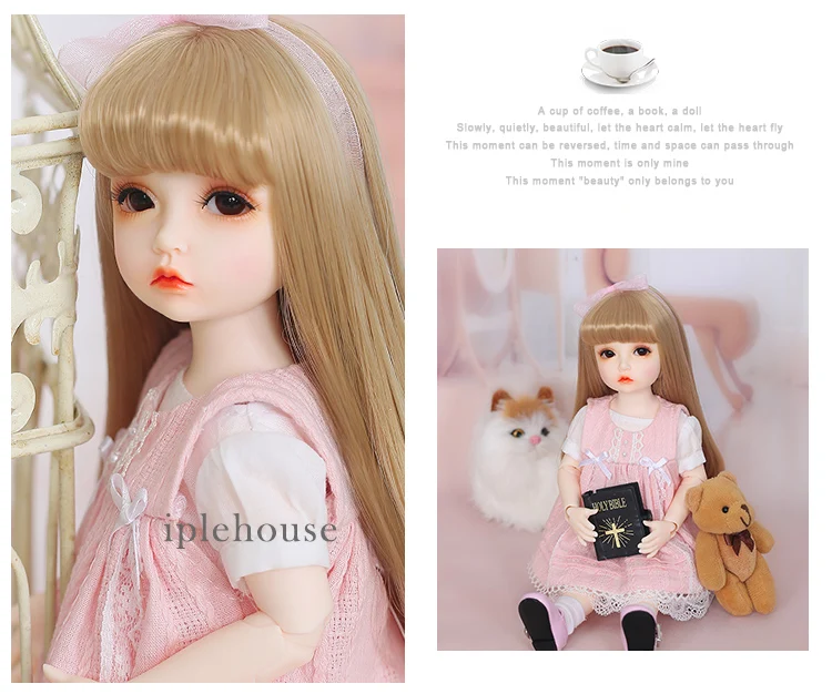 IP-BID-Elin_12